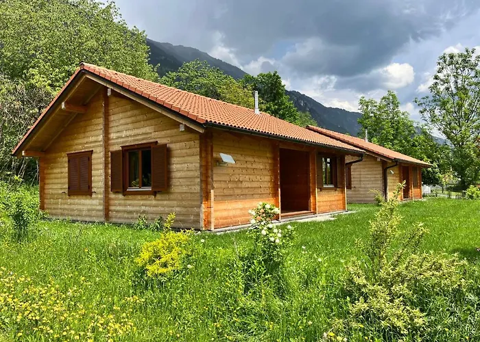 Domek alpejski Stressless I By Interhome